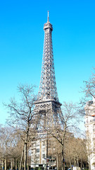Fototapeta na wymiar Eiffel tower behind trees in Winter
