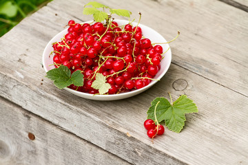 white plate with full red currant on wooden old background, green garden background on blur.