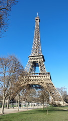   View of The Eiffel Tower in a clear day with blue Sky
