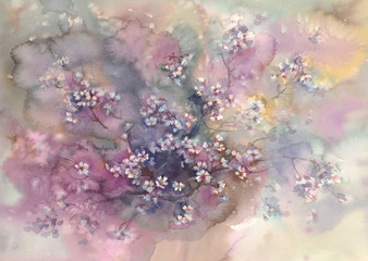 Sakura w rozkwicie tle akwarela - 215122765