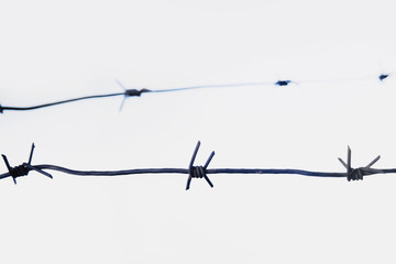 An ancient barbed wire as a symbol of imprisonment, imprisonment and repression.