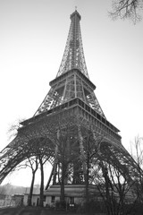 Black and white image of the Eiffel Tower, Paris.