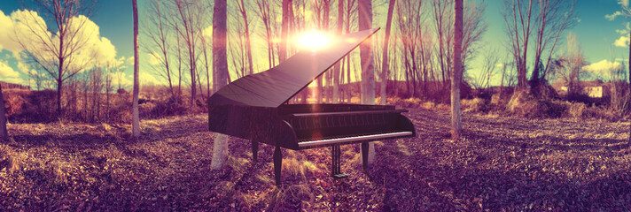 Music piano concept and nature. Surreal dream scape forest and sunset and black grand piano © C.Castilla