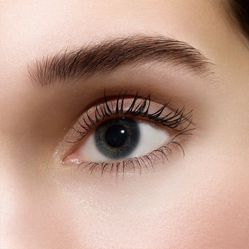 Female eye with long eyelashes closeup. Human eye.