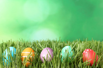Colorful easter eggs in green grass