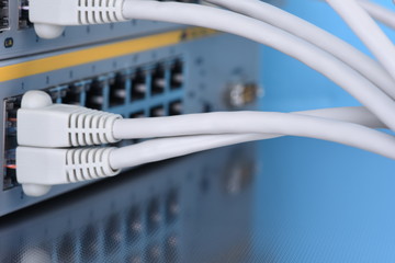 Bundle of network cables connected to switch