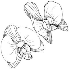 Orchid flower in a vector style isolated. Full name of the plant: orchid. Vector flower for background, texture, wrapper pattern, frame or border.