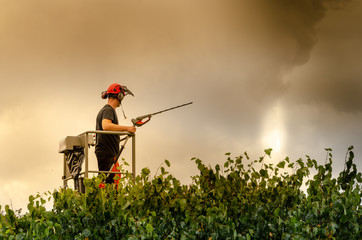 worker chopping down trees to halt forest wildfire from spreading in global heat wave
