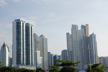 Fototapeta na wymiar View of tall buildings in Panama City