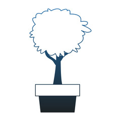 Plant in pot vector illustration graphic design