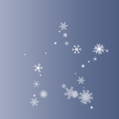 Fototapeta na wymiar Snow star. A star of beautiful snowflakes. Christmas and New Year background