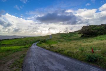 Barbados - Cherry Tree Hill 2