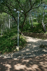 The Kislovodsk Resort park is the biggest city attraction. It was founded in 1823 and was entirely man-made; today its area is 1340 hectares