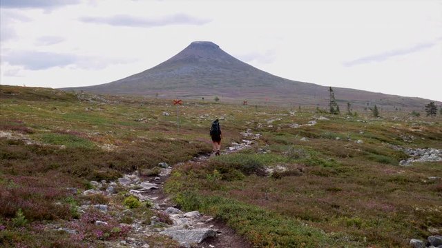 A female hiker walking towards the mountain Städjan in Dalarna, Sweden