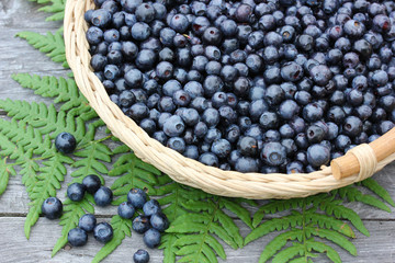 Blueberries (bilberry) in a basket on a wooden table, top view.