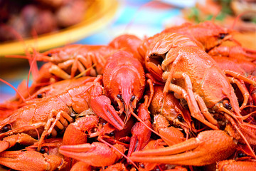 Boiled large crayfish on a platter. Crayfish are red. Delicacy, gourmet food. Selective focus, close-up, copy space.