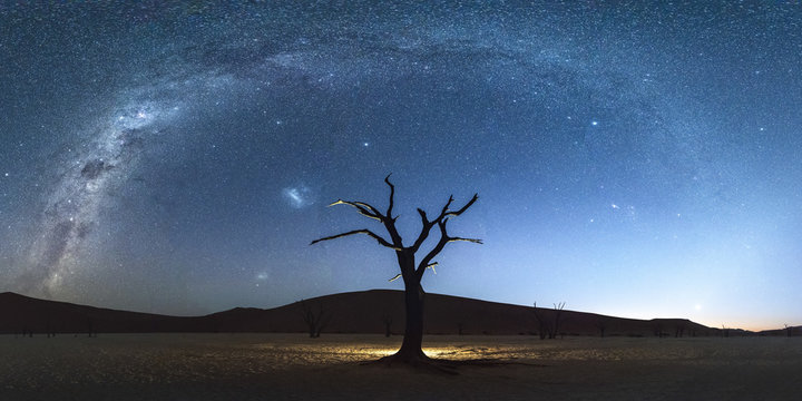 Dead acacia trees at night, Deadvlei, Namib-Naukluft National Park, Namibia