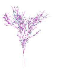 Reed stems ,bamboo leaves, thin narrow leaves.Different shades of pink. Isolated on white background