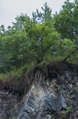 Zicka reka11