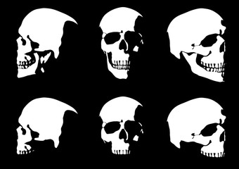 Set of hand drawn skull silhouette isolated on black background. Vector illustration.