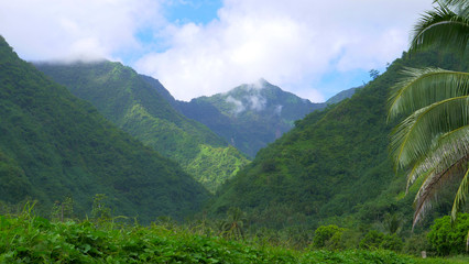 Breathtaking view of a vibrant green valley on a remote exotic island in Pacific