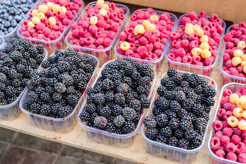 fresh berries, blackberries and red and yellow raspberries in plastic boxes on the counter for sale