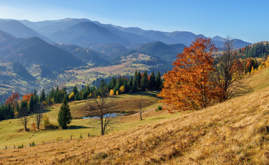 Panorama view hills autumn mountain with orange trees and lake.
