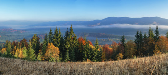 Panorama view hills mountain colorful forest.