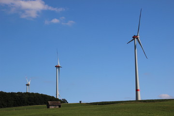Obraz premium Windräder im Sommer 