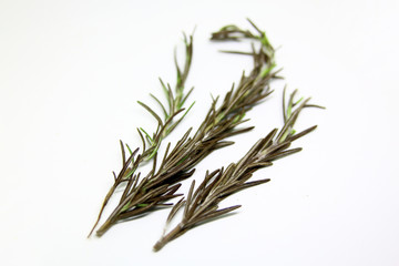Rosemary leafs
