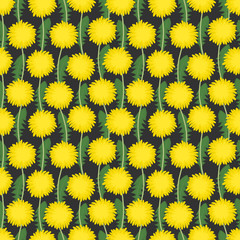 Floral background with dandelions. Seamless pattern with yellow flowers and green leaves. Vector illustration