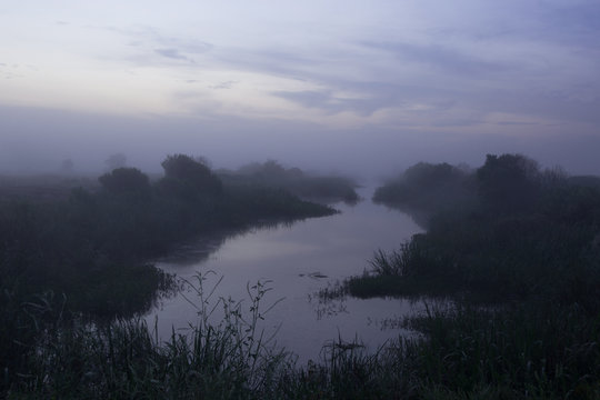 A misty blue sunrise over a marshy landscape © Jennifer