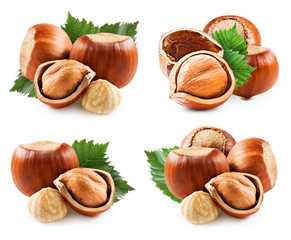 Hazelnuts isolated on white