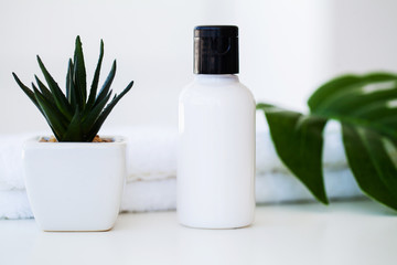 Wellness Products and Cosmetics. Spa still life with blossoms of rose and essential oils