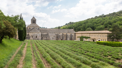 Fototapeta na wymiar Abbaye de Senanque