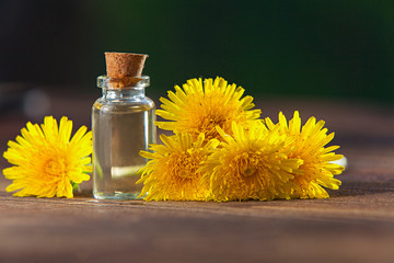 dandelion essential oil in  beautiful bottle on table © solstizia