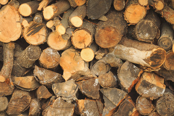 wood in the woodpile