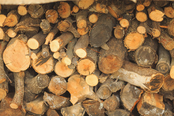 wood in the woodpile