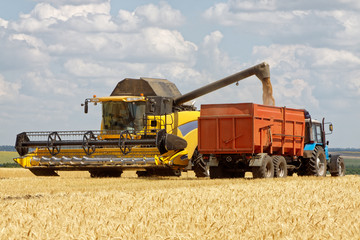 Combine harvester load wheat in the truck at the time of harvest in a sunny summer day