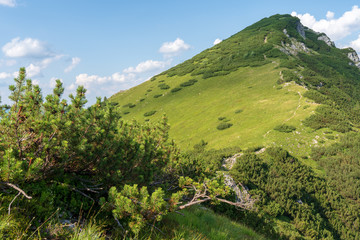 Obraz premium Kaiserbachtal Weg zum Stripsenjochhaus
