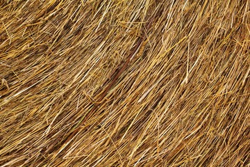 Straw bales on a meadow in summer, rural background, texture of dry grass straw.