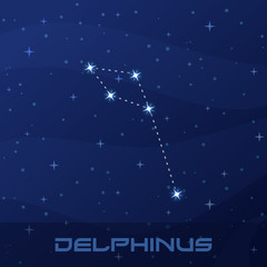 Obraz na płótnie Canvas Constellation Delphinus, Dolphin, night star sky