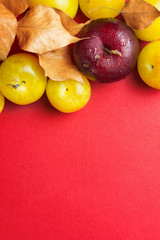 Ripe juicy colorful yellow and dark red plums with dry orange leaves on dark crimson burgundy background. Flat lay arrangement composition. Fall Thanksgiving mid-autumn festival