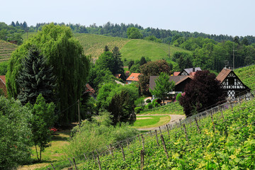 Plakat Landscape around Sasbachwalden in the Black Forest in spring 2018, Germany