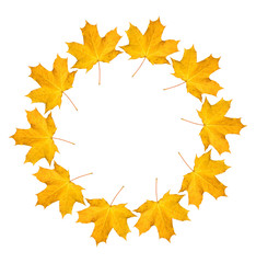 Fototapeta premium Wreath from dry orange maple leaves. Autumnal round frame on a white background