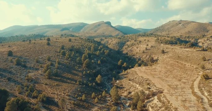 Flying Into a Valley of Sparce Trees On The Mountainside in Murica Spain