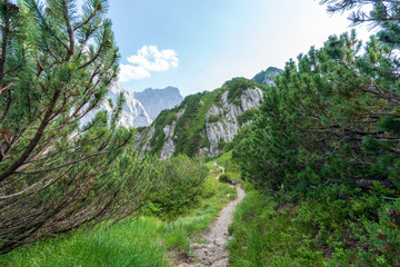 Kaiserbachtal Weg zum Stripsenjochhaus