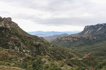 South Texas landscape