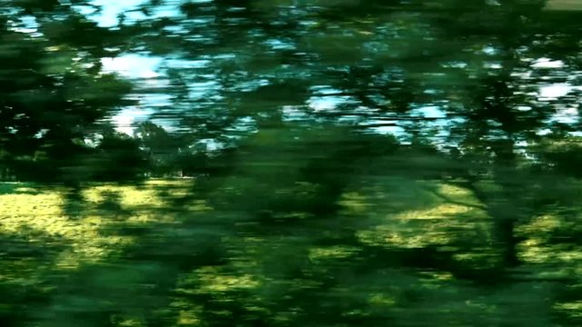 Ride by train on a shaky old railway, looking outside.