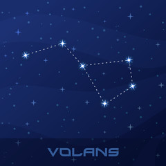Obraz na płótnie Canvas Constellation Volans, Flying Fish night star sky